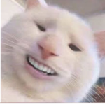 Cat Gaming YT
