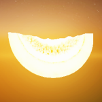 SunMelon.corporation