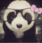 ~bre’s apperal~