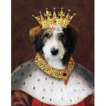Dogs Unìted