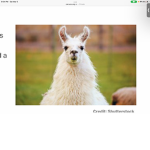 Llama godes