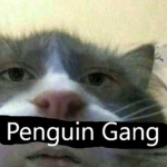 Penguins Gangg