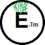 The E Corporation