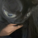 0.S0S