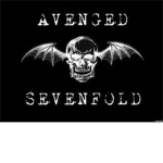 Avenged Sevenfold Real Fans
