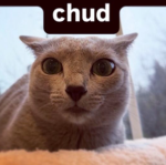 Chudmaxxing.