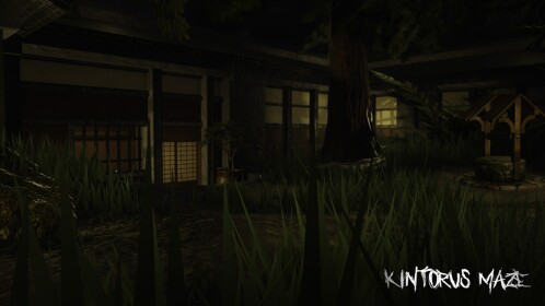 Kintoru's Maze 