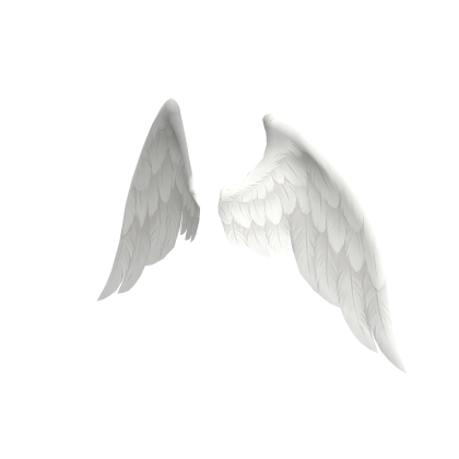White Angel Wings