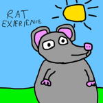 Rat Experience
