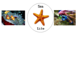 gta9gamer's gang