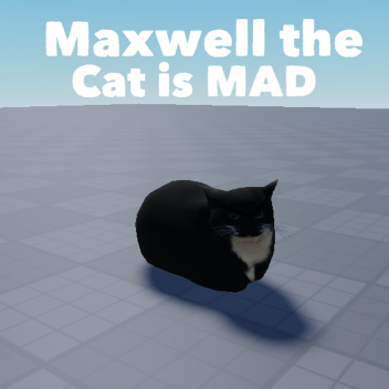 Maxwell the Cat is MAD >:(
