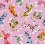 Izzys clothing!