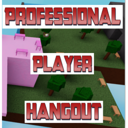 (POOL + ICE AREA) Professional Player Hangout