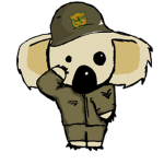 The koala gods