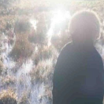 Serenity Through Sowing Peace