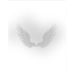 Angel and friends group!