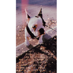 Doggy’s are perfect!
