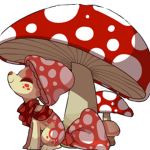 amazing mushrooms