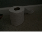ToiletPaperInc
