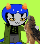 Hawki’s emporium of items and stuff