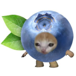 Blue Cat Empire