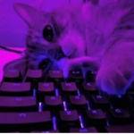 Idk what to title this