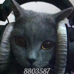 ᴛʀᴠsᴛʀᴏɴɴɪᴇ