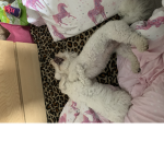Molly&matilda
