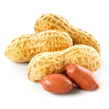 shake your peanut simulator