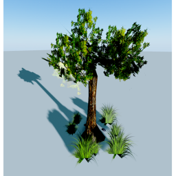 The Tree