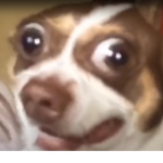 Roux Okay?