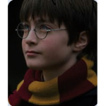 Harry pÕtter fan group