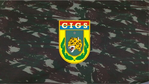Instrução de Guerra na Selva