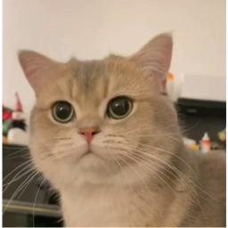 。°˖ ʚ ♡ ɞ 。°