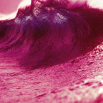 #Movin Tsunami