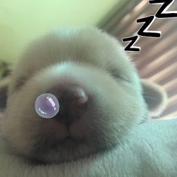 hiya