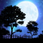 ~Nightfall~