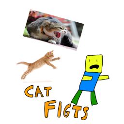 cat fights [TESTING]