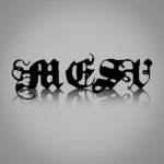 mesv Group Thumbnail