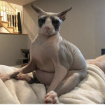 VlSUALS