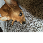 Donation Group For Friends ONLY OK GUYS