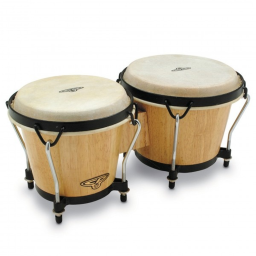 Bongo Party!
