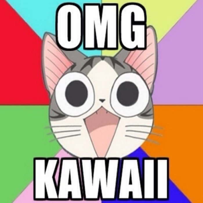 OMG KAWAII Roblox decal