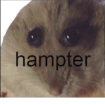 Hamster fans only!!!