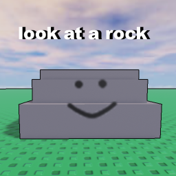 look at a rock