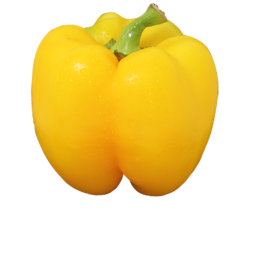 Capsicum Hangout