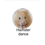 Mrs. Maddie hamster