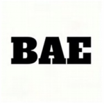 Bae Group [OFFICIAL]