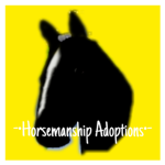 ~Friesian Riding Adoptions~