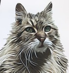 Cat lover forever